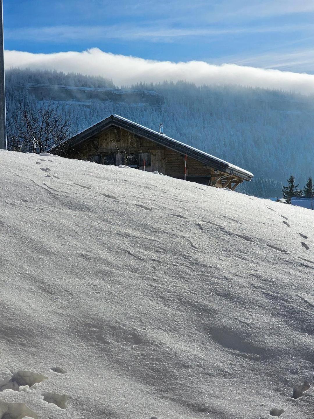 Magnifique Appartement A La Montagne Classe 4 Etoiles Chapelle-des-Bois Exteriér fotografie